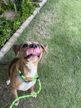 Mandarin thumbnail 3