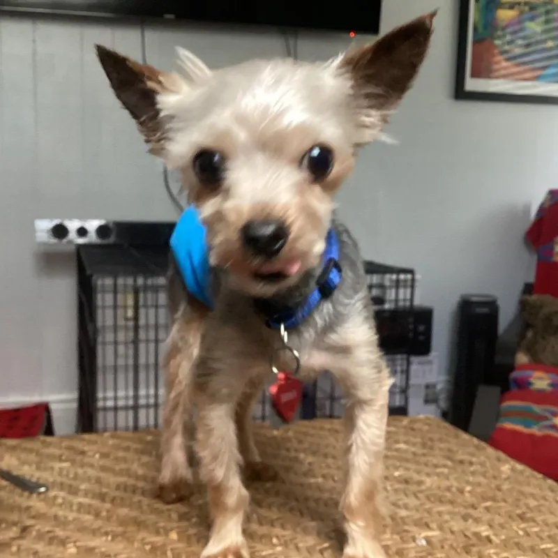 Theodore