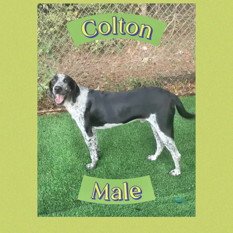 Colton thumbnail 2