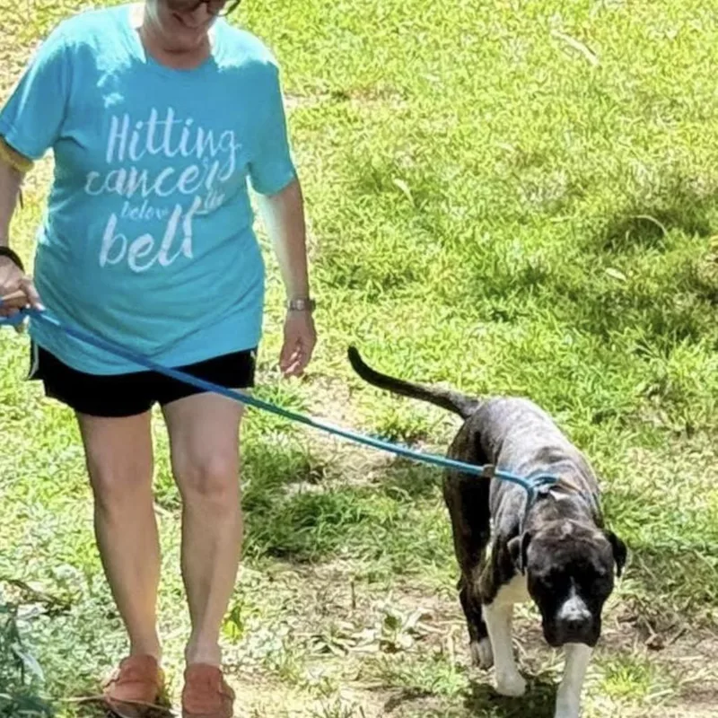 Cornelia thumbnail 6