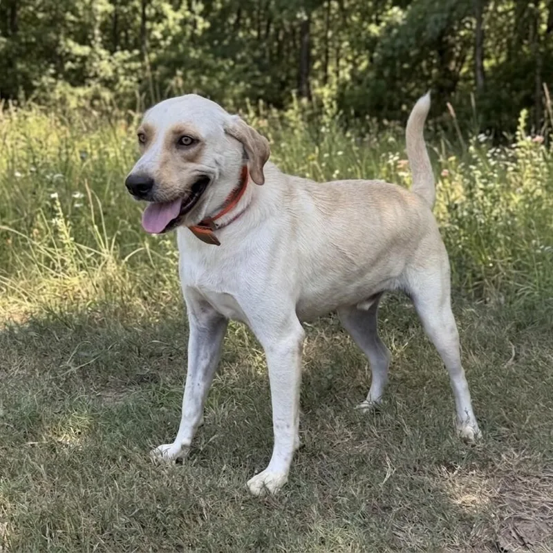 Mateo thumbnail 2
