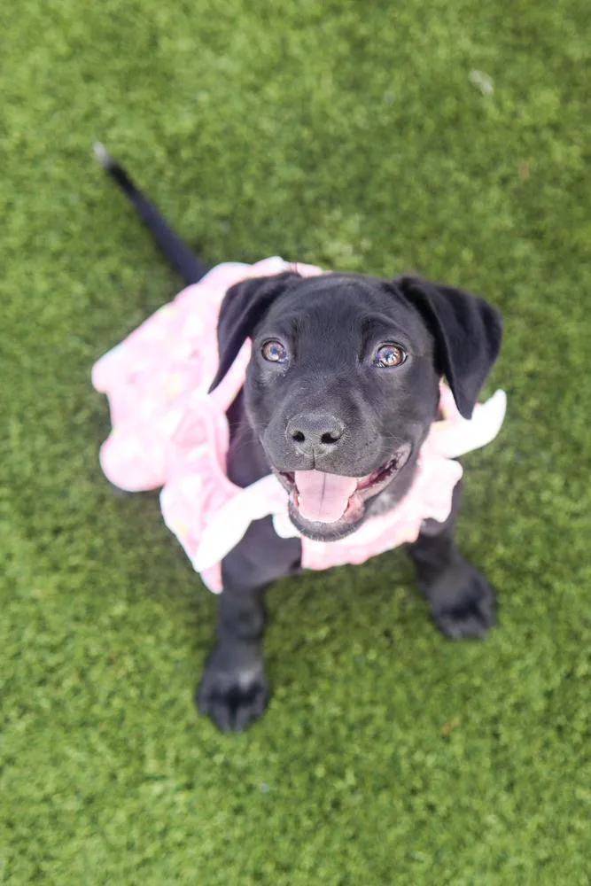 Lily Mae thumbnail 2