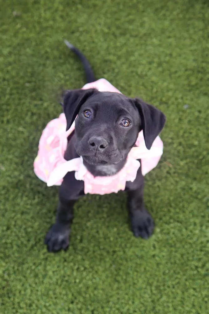 Lily Mae thumbnail 3