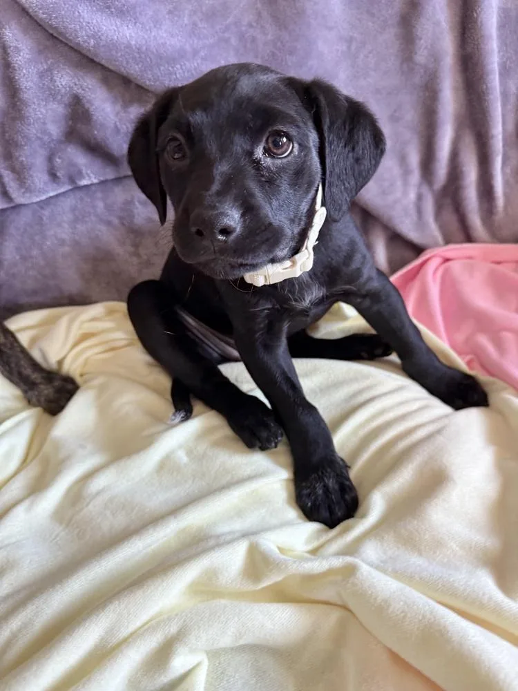 Lily Mae thumbnail 4