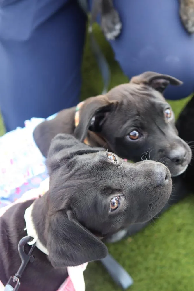 Lily Mae thumbnail 5