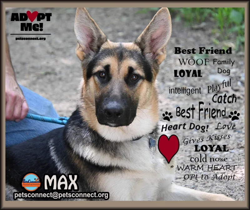 Max thumbnail 2