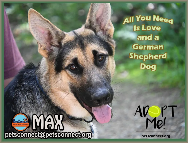 Max thumbnail 3