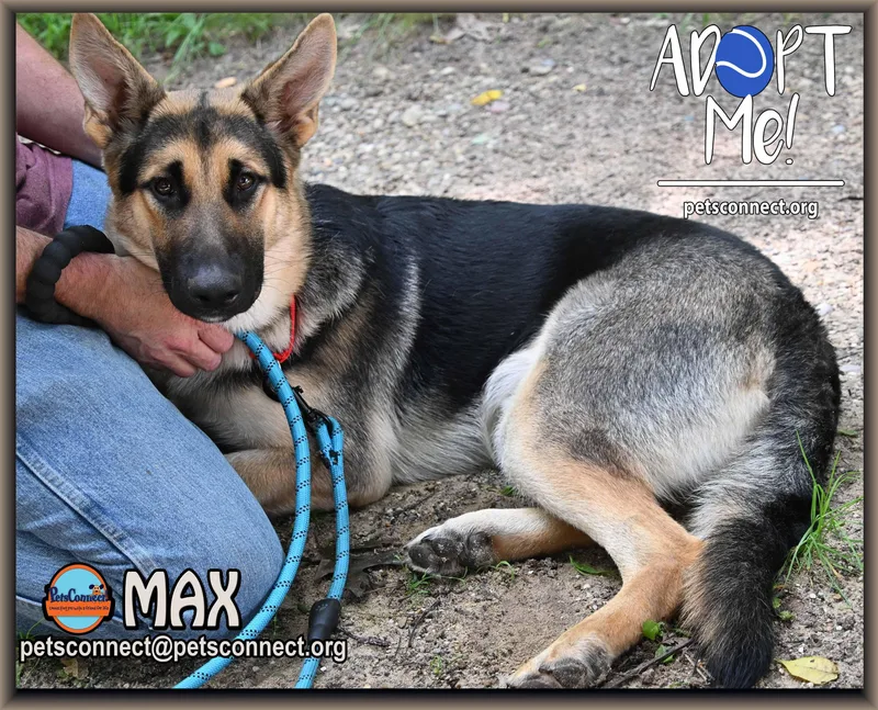 Max thumbnail 4