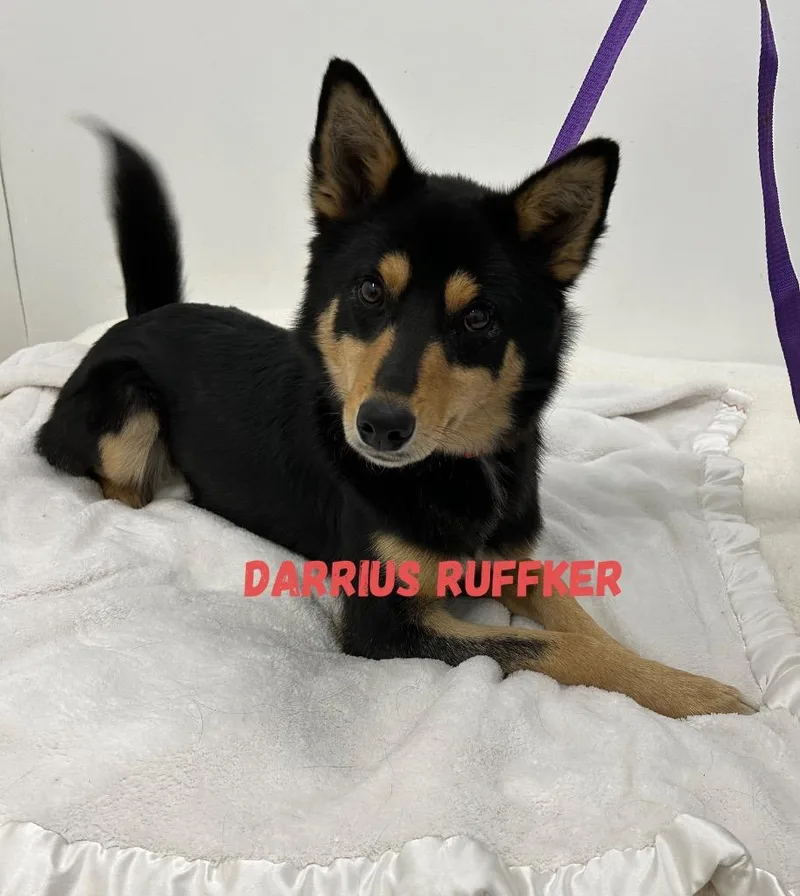 Darrius Ruffker