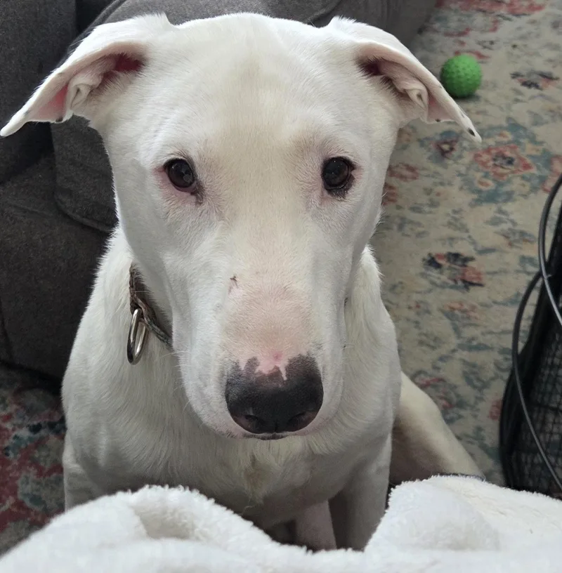 Buster thumbnail 3