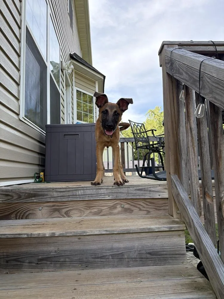 Crouton  Located in thumbnail 3