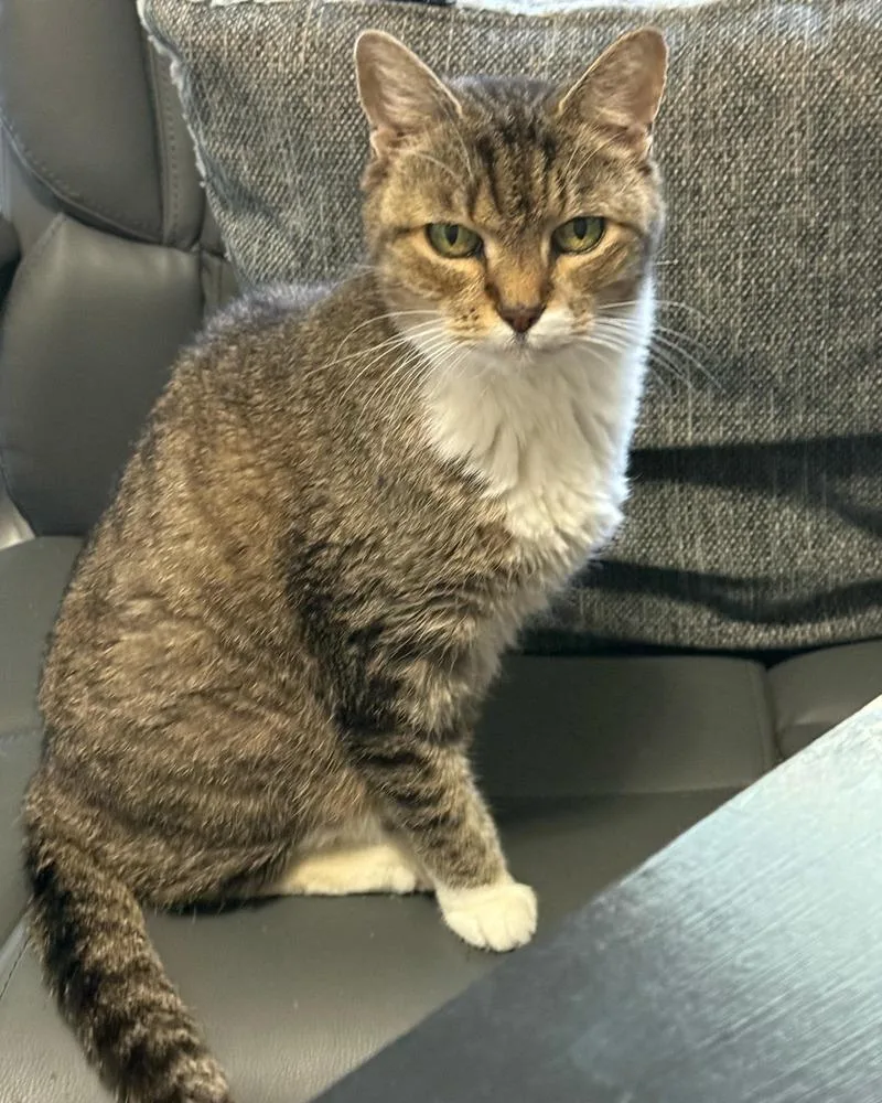 Minnie Purrl thumbnail 2