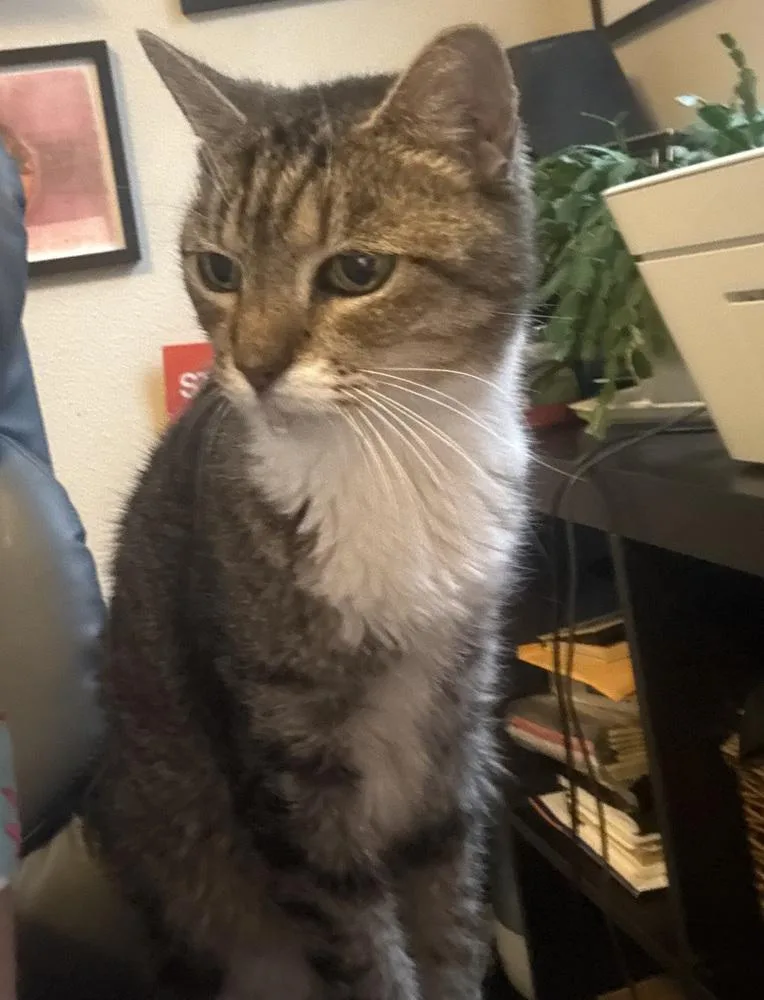 Minnie Purrl thumbnail 6