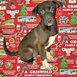Griswold
