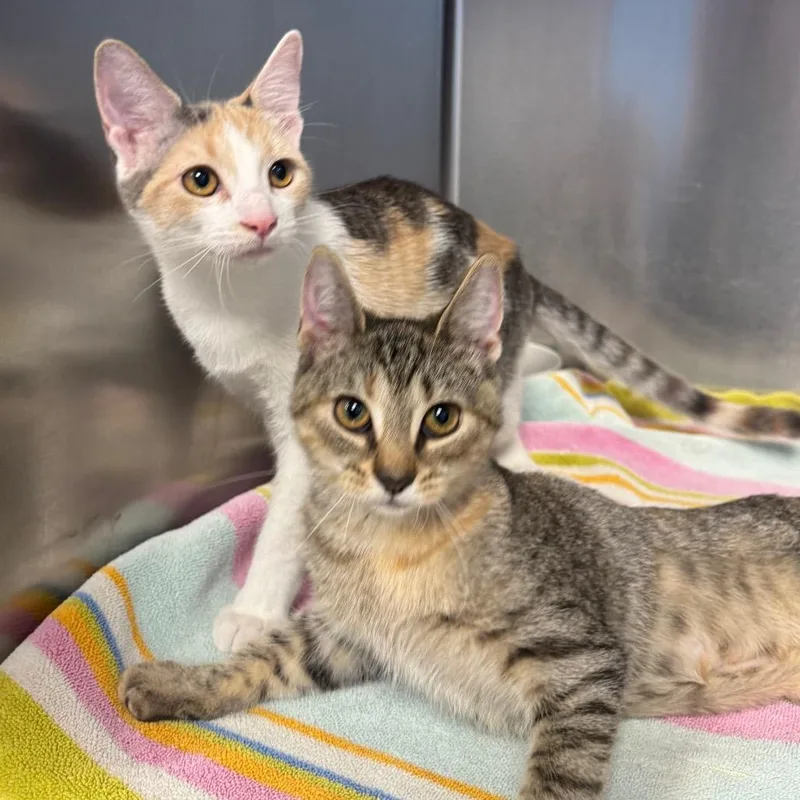 Marina thumbnail 6