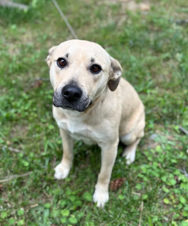 Dolly Mae