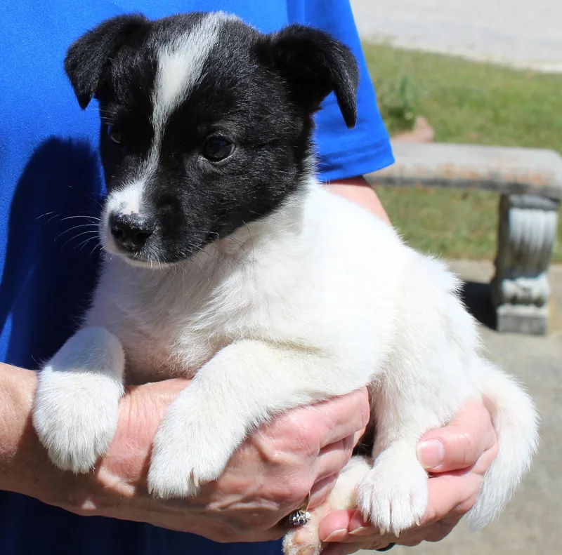 Judge Judy thumbnail 2