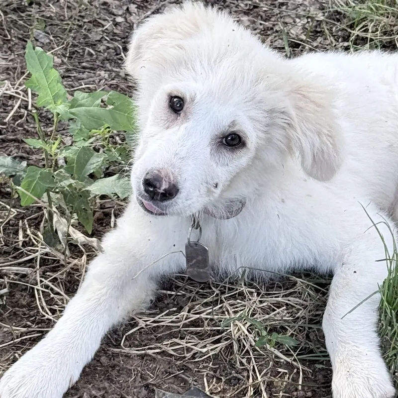 Winifred thumbnail 2