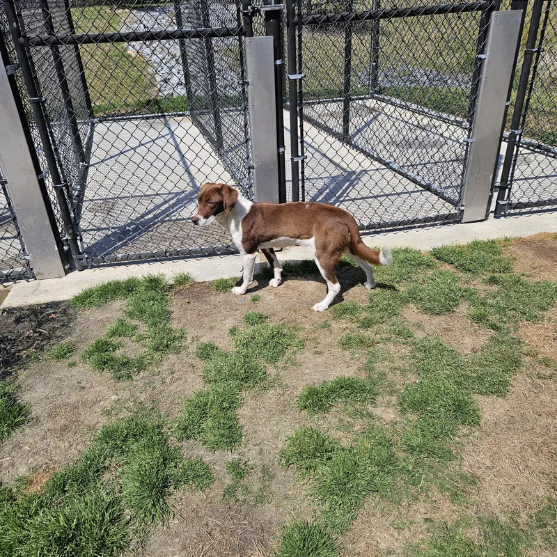 Penelope thumbnail 2