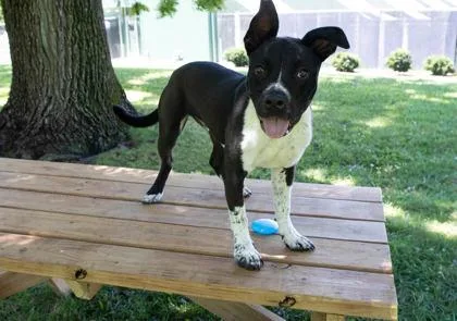 Zeus thumbnail 2