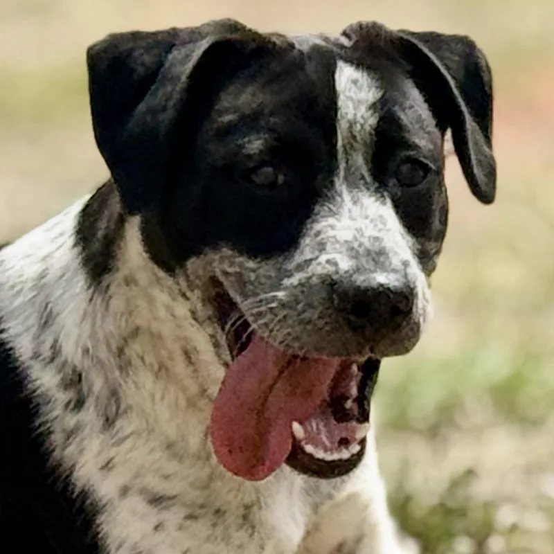 Jacqueline thumbnail 2