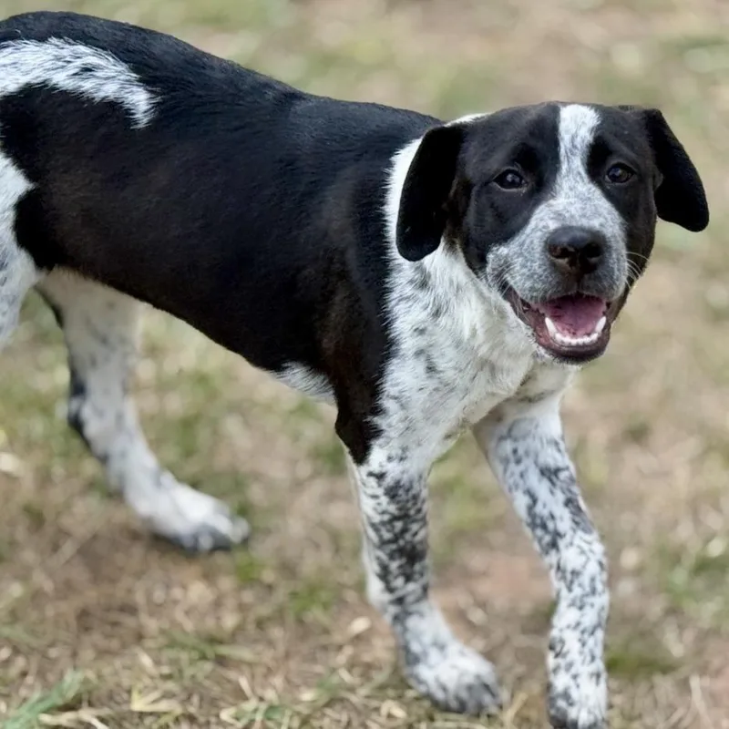 Jacqueline thumbnail 3