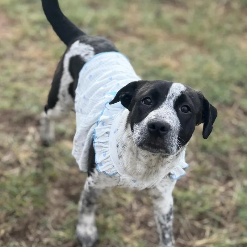 Jacqueline thumbnail 4