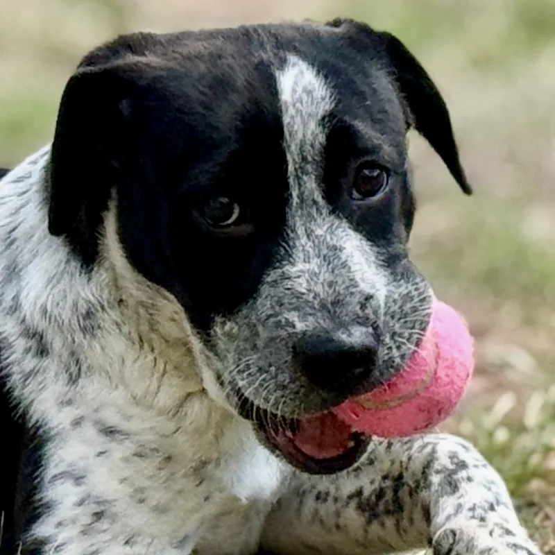 Jacqueline thumbnail 5