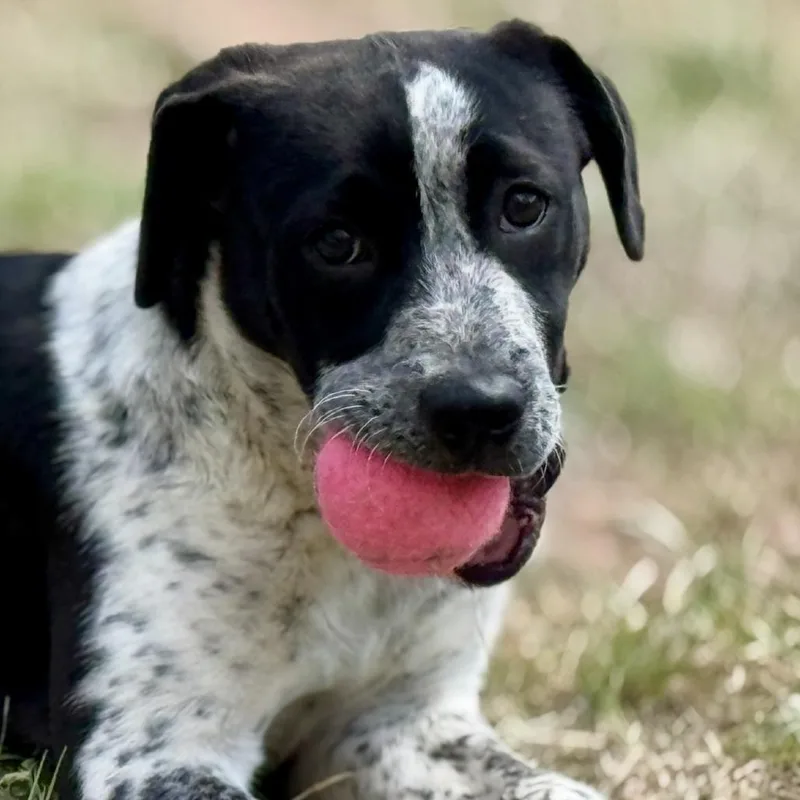 Jacqueline thumbnail 6