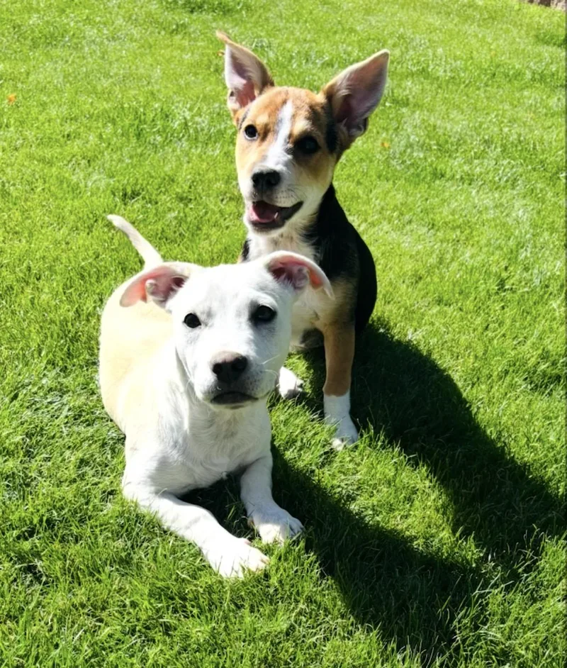 Levi And Lila thumbnail 2