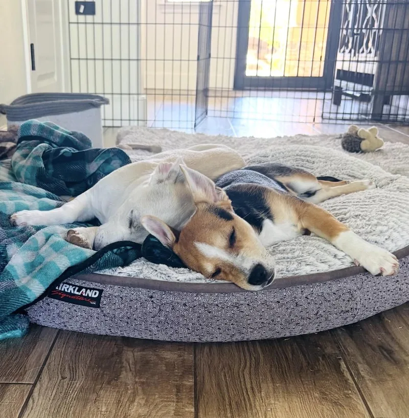 Levi And Lila thumbnail 3