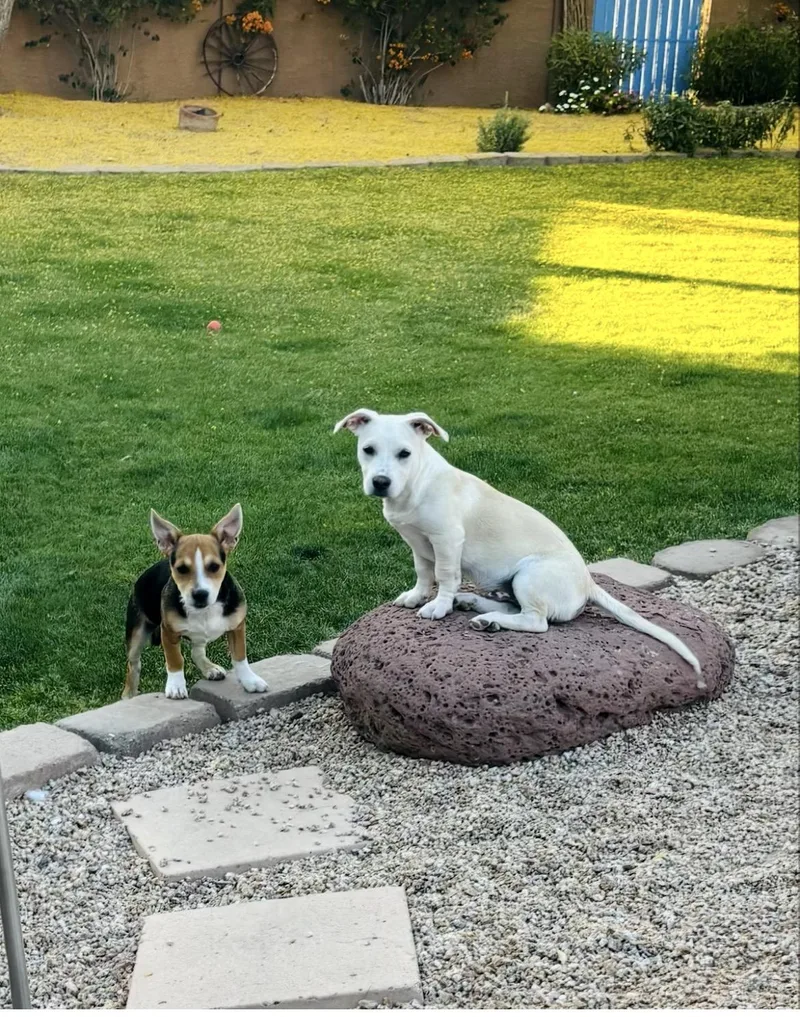 Levi And Lila thumbnail 4