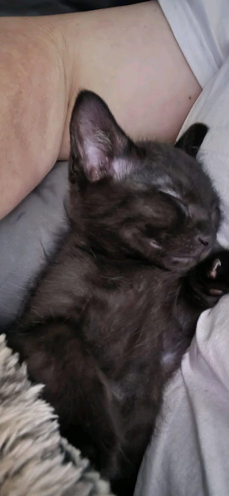 Charlie thumbnail 3