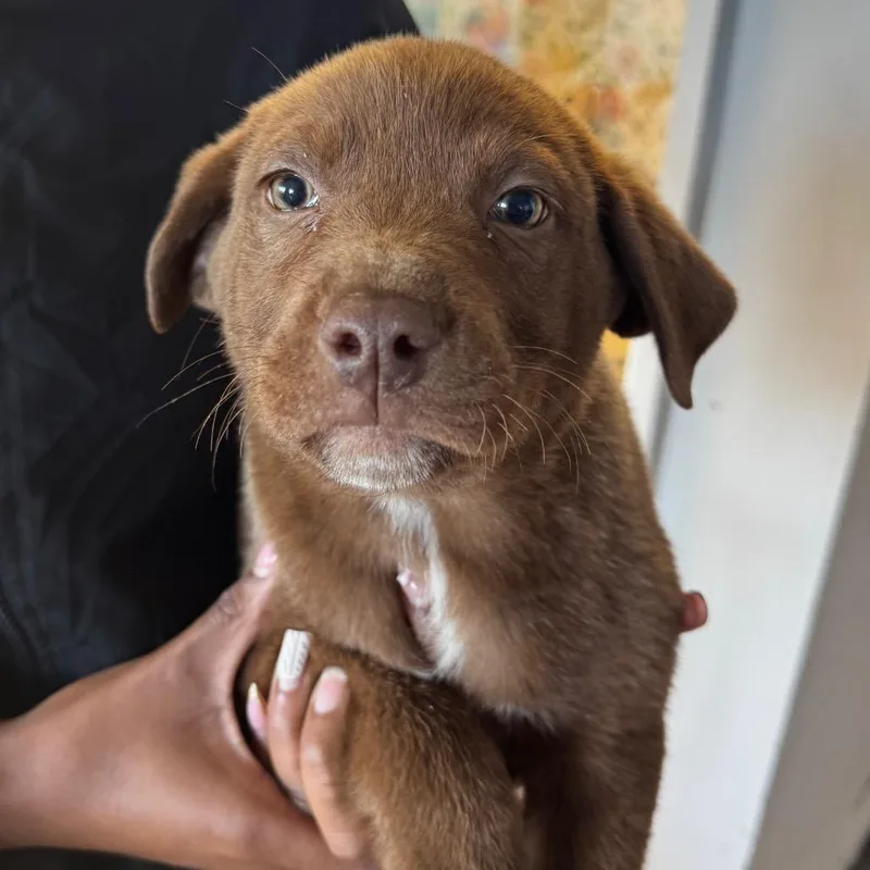 Patrick Broomfield thumbnail 2