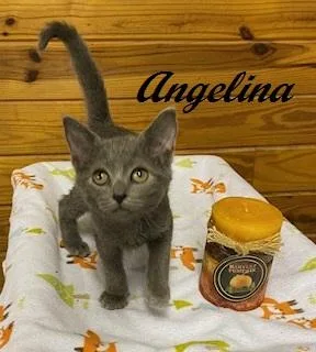 Angelina Ballerina thumbnail 2