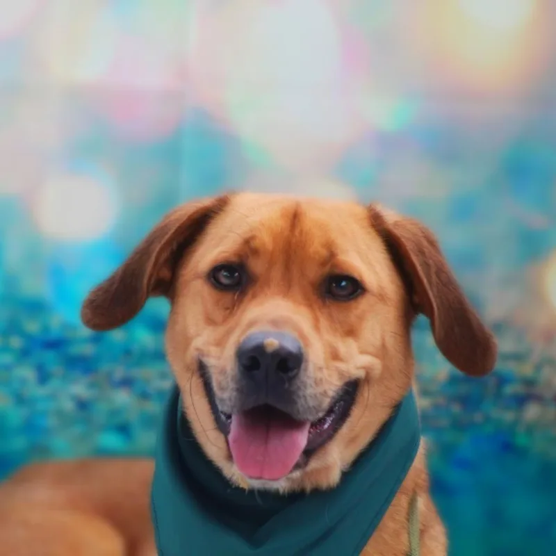 Richard Jum thumbnail 2