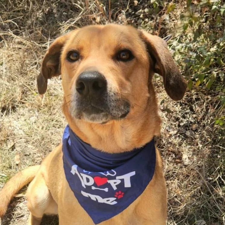 Richard Jum thumbnail 3