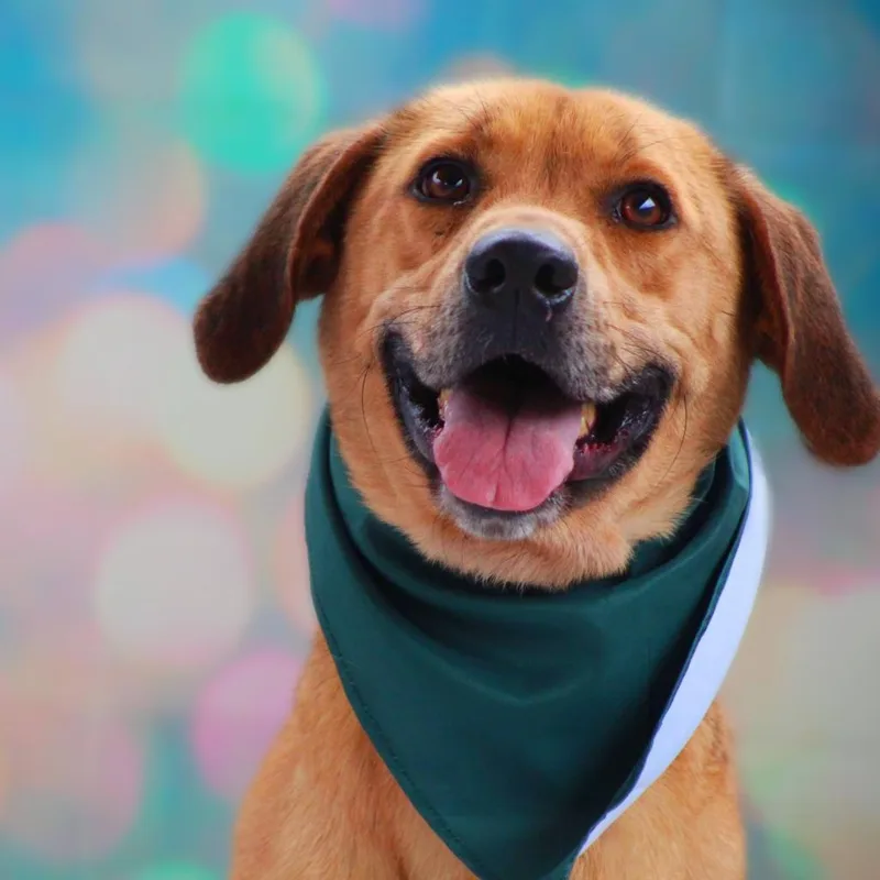 Richard Jum thumbnail 4