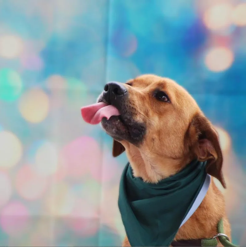 Richard Jum thumbnail 5