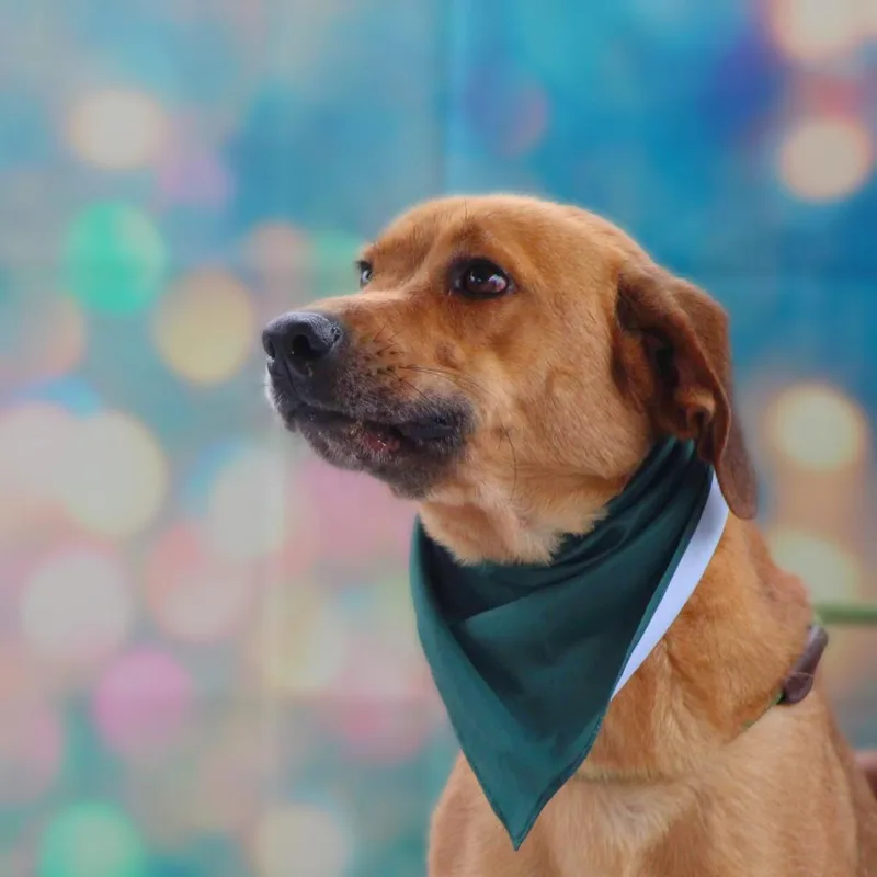 Richard Jum thumbnail 6