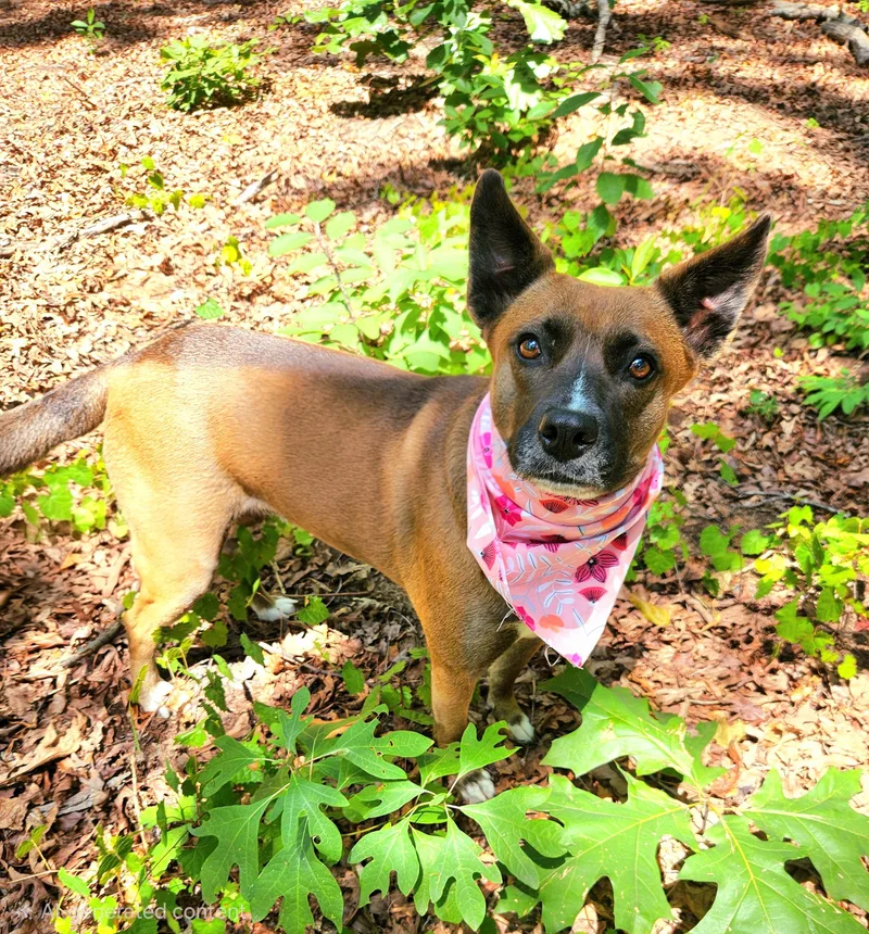 Margo