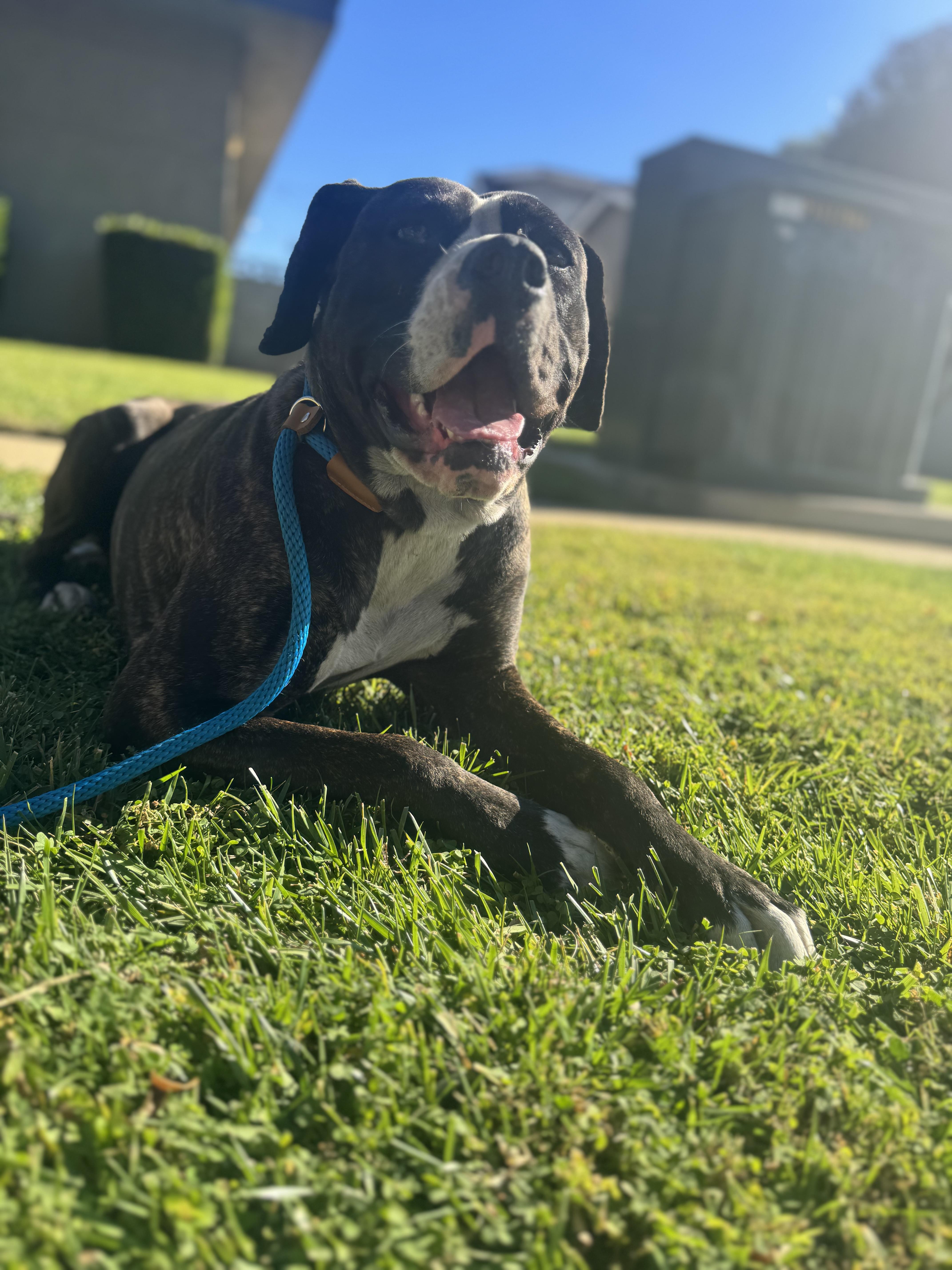 Emma Wigglebutts thumbnail 3