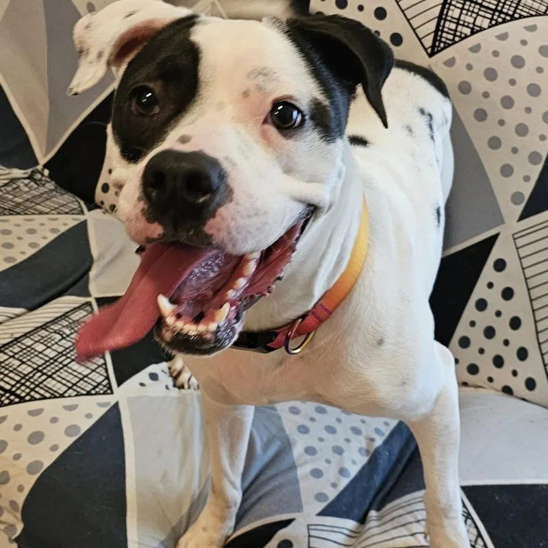 Divinity thumbnail 3