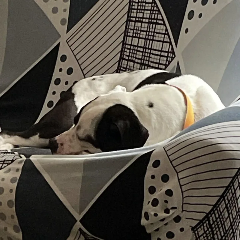 Divinity thumbnail 5