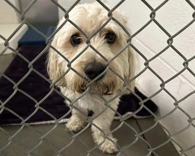 Ernie
