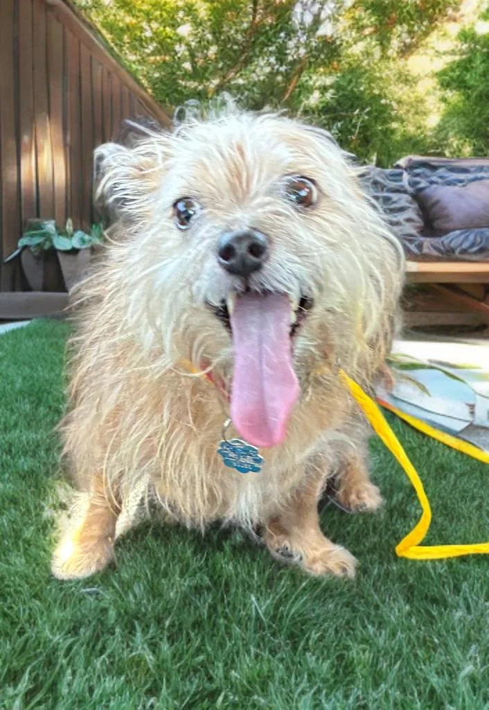 Charlie Barkley