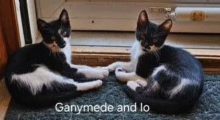 Ganymede thumbnail 4