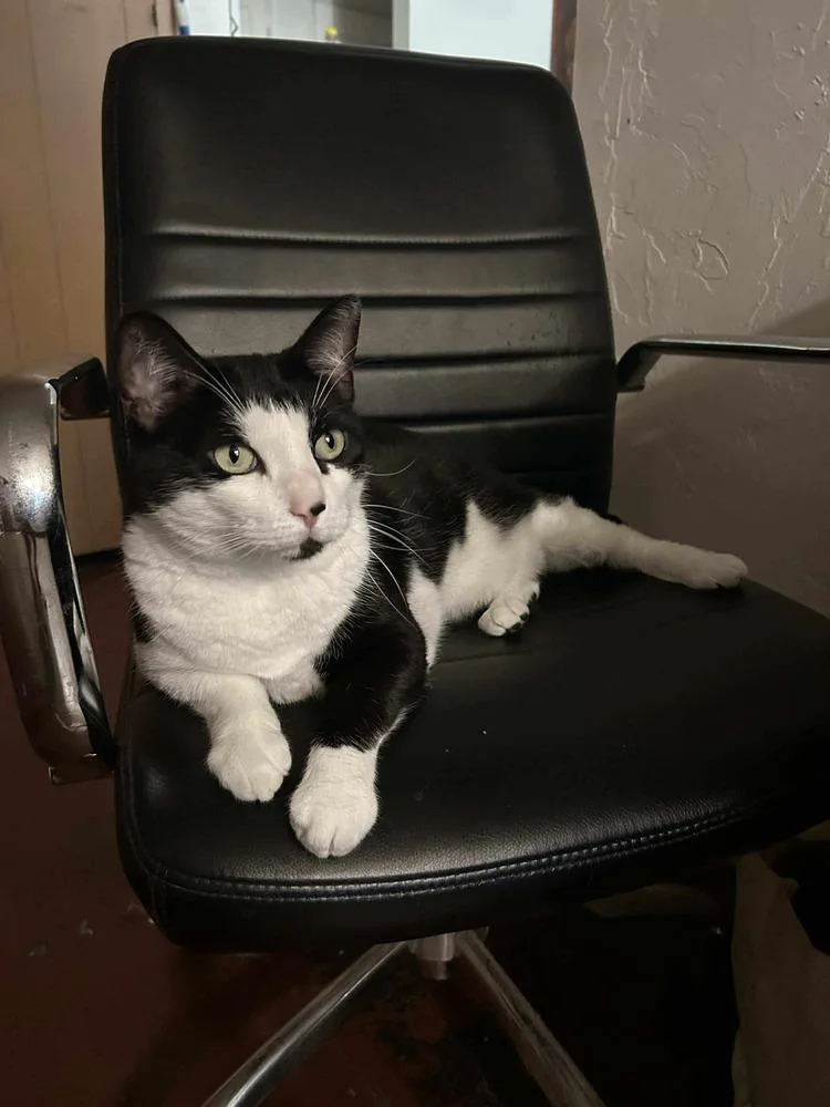 Cleopatra thumbnail 4