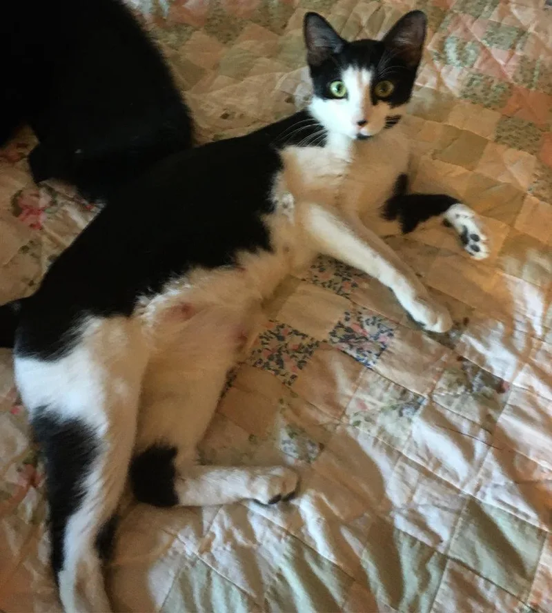 Cleopatra thumbnail 5