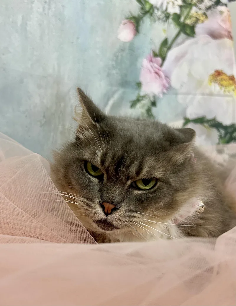 Thumbelina thumbnail 2